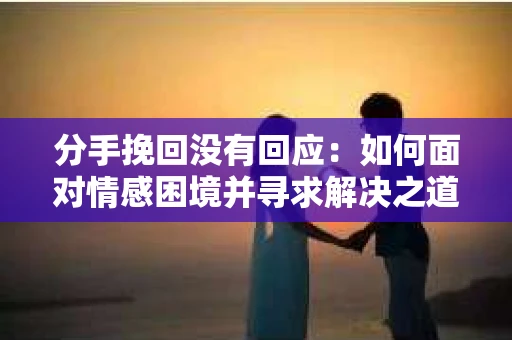 分手挽回没有回应：如何面对情感困境并寻求解决之道
