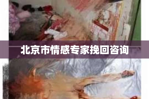 北京市情感专家挽回咨询
