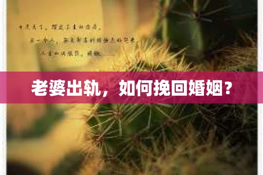 老婆出轨，如何挽回婚姻？