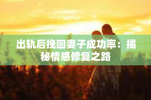 出轨后挽回妻子成功率：揭秘情感修复之路