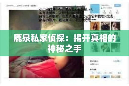 鹿泉私家侦探：揭开真相的神秘之手
