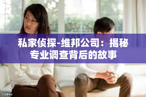 私家侦探-维邦公司：揭秘专业调查背后的故事