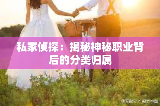 私家侦探：揭秘神秘职业背后的分类归属