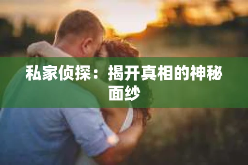私家侦探：揭开真相的神秘面纱
