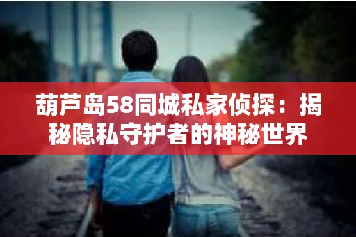 葫芦岛58同城私家侦探：揭秘隐私守护者的神秘世界