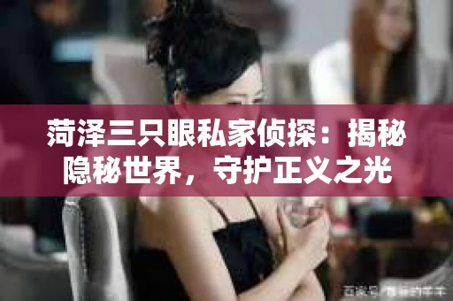 菏泽三只眼私家侦探：揭秘隐秘世界，守护正义之光