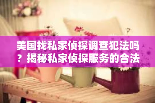 美国找私家侦探调查犯法吗？揭秘私家侦探服务的合法性与风险