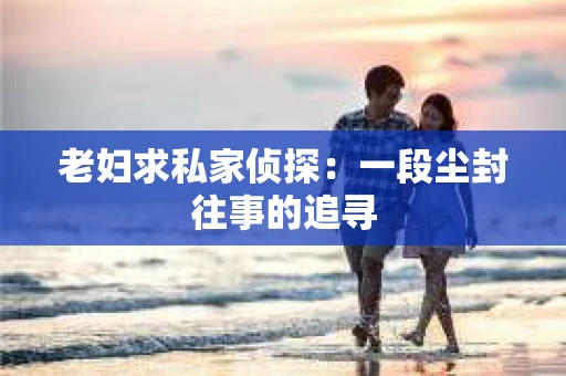 老妇求私家侦探：一段尘封往事的追寻