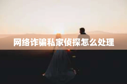 网络诈骗私家侦探怎么处理