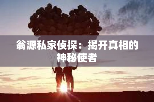 翁源私家侦探：揭开真相的神秘使者