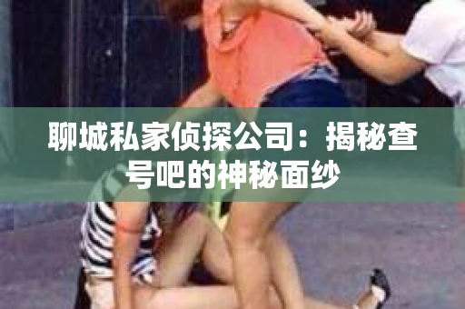 聊城私家侦探公司：揭秘查号吧的神秘面纱